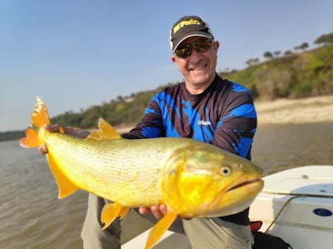 Dorado del Paraná